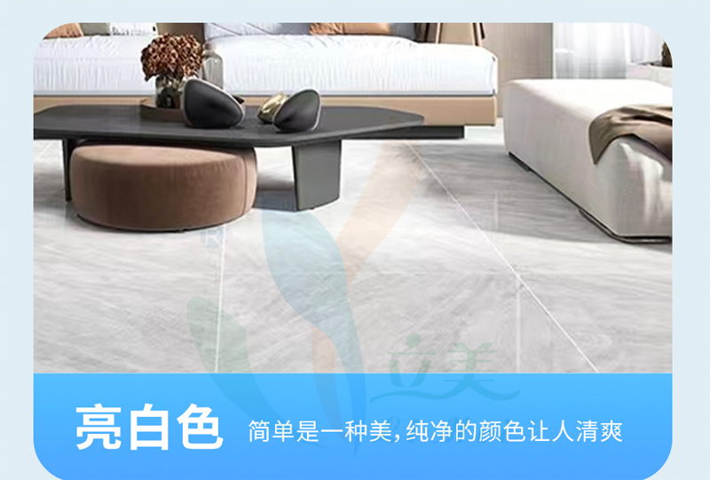 钻瓷王系列-亮白色