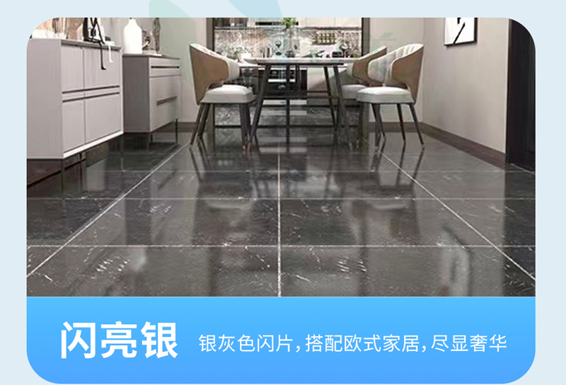 钻瓷王系列-闪亮银