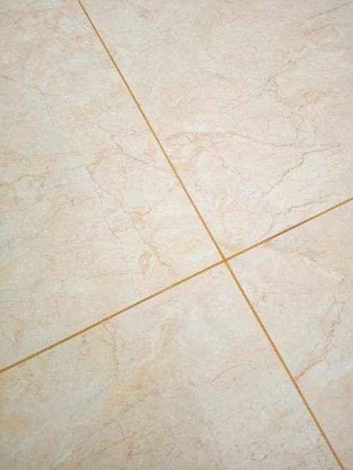 微信图片_20250611165044